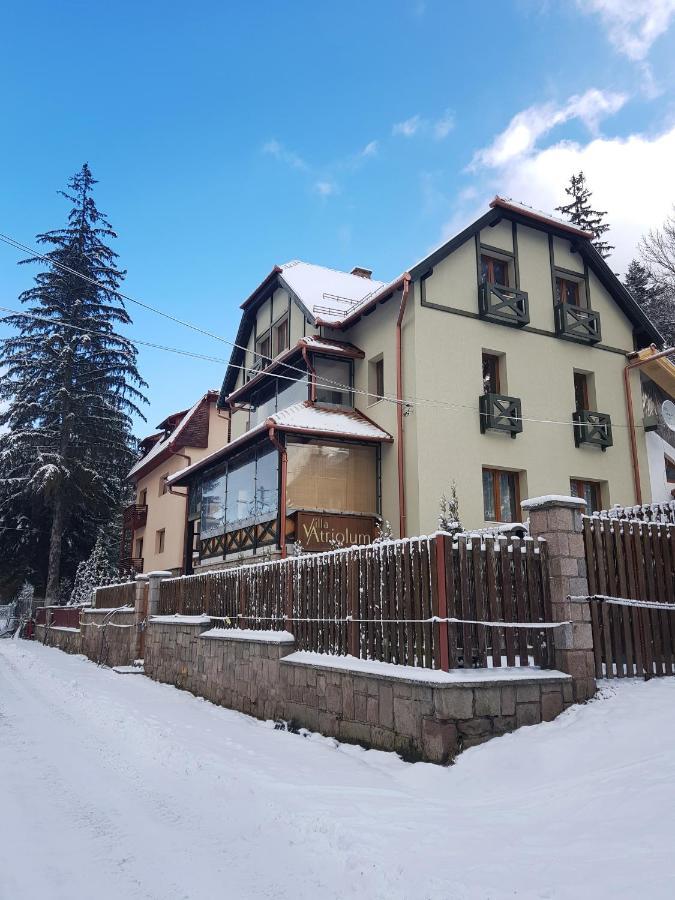 Villa Atriolum BaileTusnad Zewnętrze zdjęcie